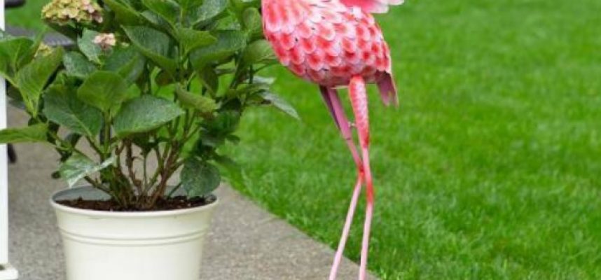 garden flamingo