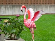 garden flamingo_for online