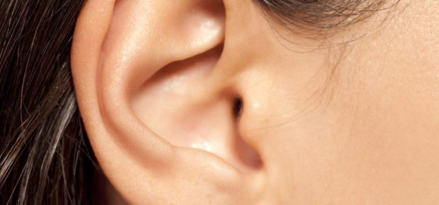 ear image